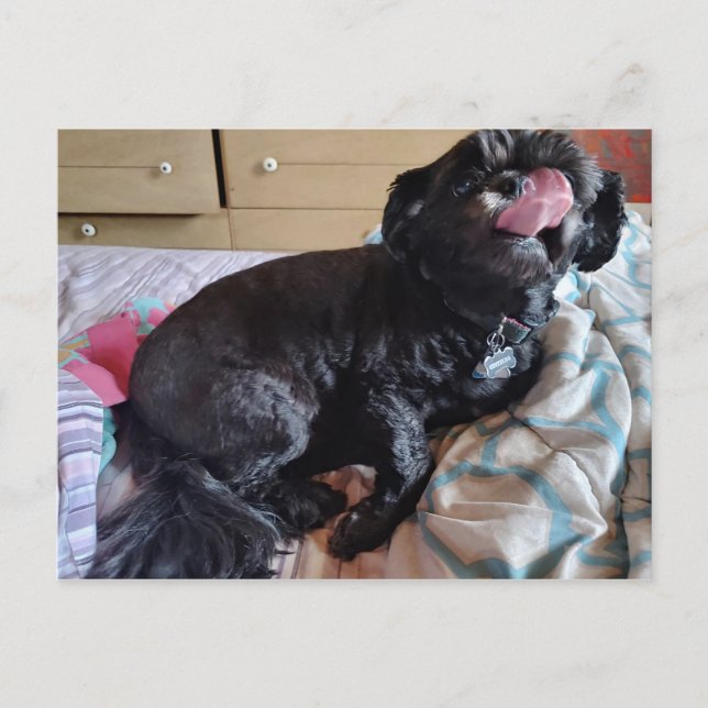 Flimmer vid Tunga Vykort (Framsida)