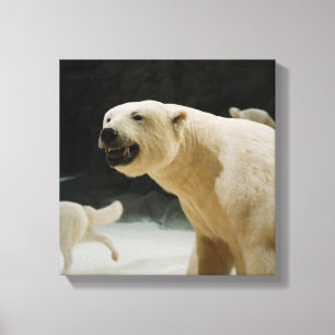 Flin polar björn canvastryck