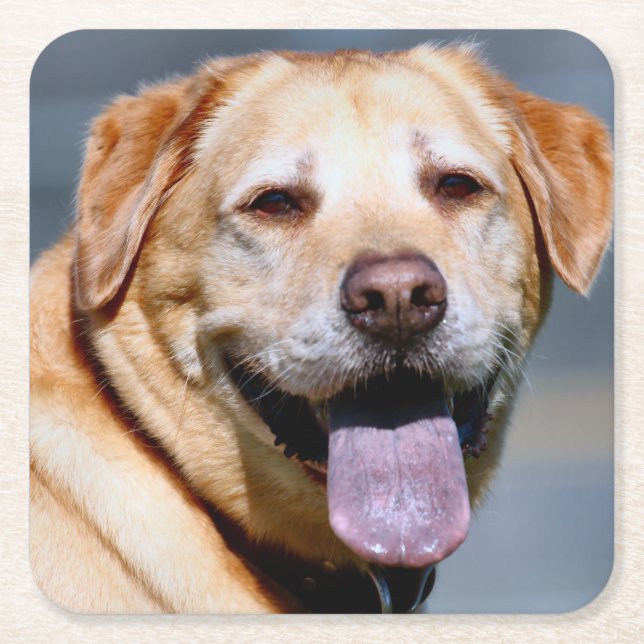 Flin Underlägg Papper Kvadrat (Framsidan)