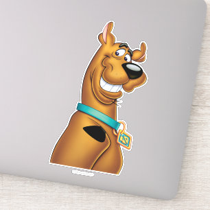 Flina Scooby-Doo Klistermärken