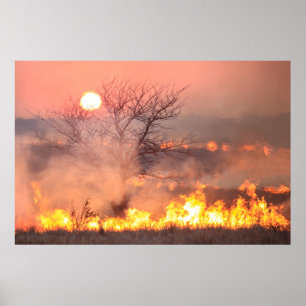 Flint Backe Kansas Prairie Burn Poster