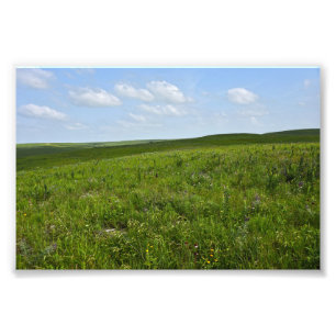 Flint Backe Wildblommor, Kansas Fototryck