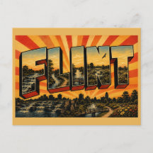 Flint Michigan Flod Vattenfall Naturreservat Konst