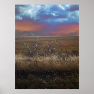Flintabackar av den Kansas affischen Poster