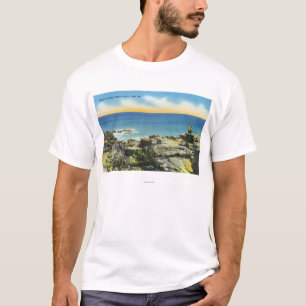 Flintklippor beskådar av stenarna och surfar t-shirt