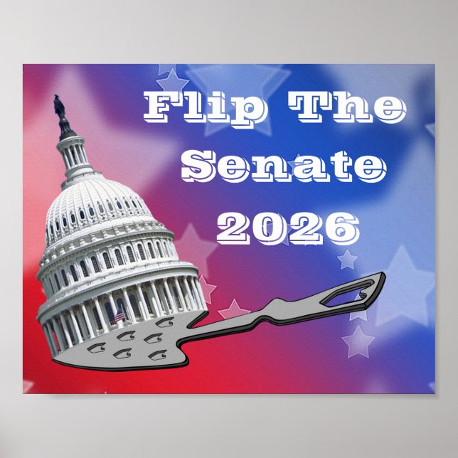 Flip The Senate Vote 2026 Poster (Framsidan)