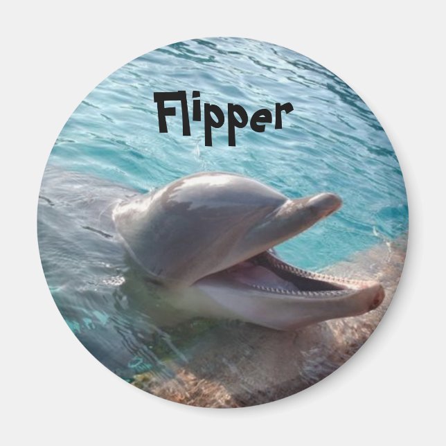 Flipper Magnet (Framsidan)