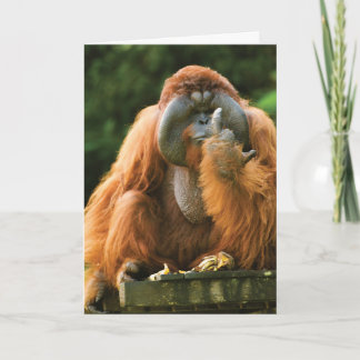 Flipping Monkey-Orangutan - födelsedag Kort