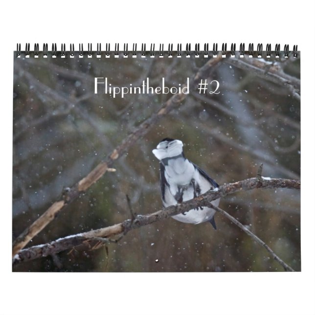 Flippintheboid #2 kalender (Omslag)