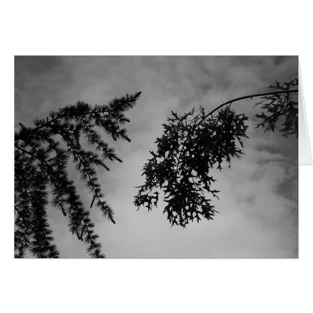 Flirtation Hälsningskort (Framsidan Horizontal)