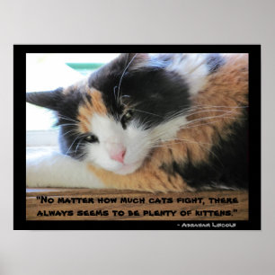 Flirty synad calico med det Abraham Lincon Poster