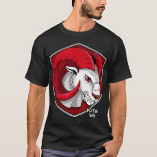 Flite Boi WinstonSalem State WSSU Rams Graphic T Shirt