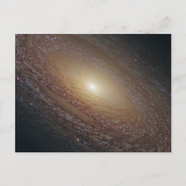 Flocculent spiral NGC 2841 Vykort (Framsida)
