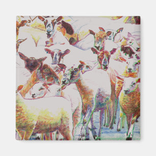 Flock 2011 magnet