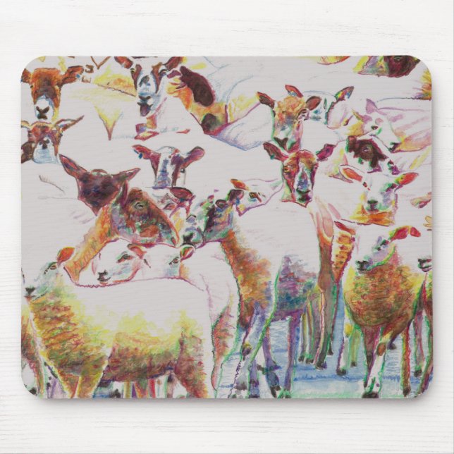 Flock 2011 musmatta (Framsidan)