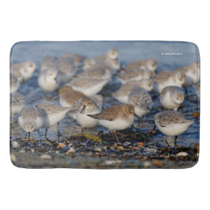 Flock av Dunlins och Sanderlings vid stranden Badrumsmatta