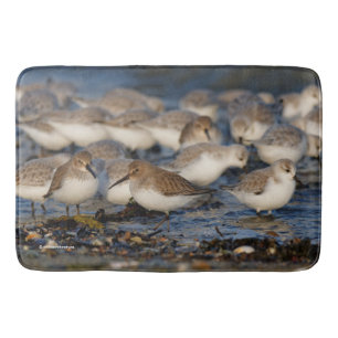 Flock av Dunlins och Sanderlings vid stranden Badrumsmatta