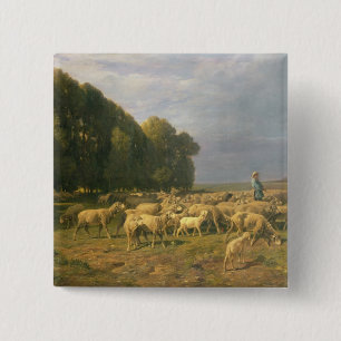 Flock av får i en landskap knapp