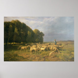 Flock av får i en landskap poster