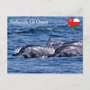 Flock av flasknosdelfiner - Oman Vykort