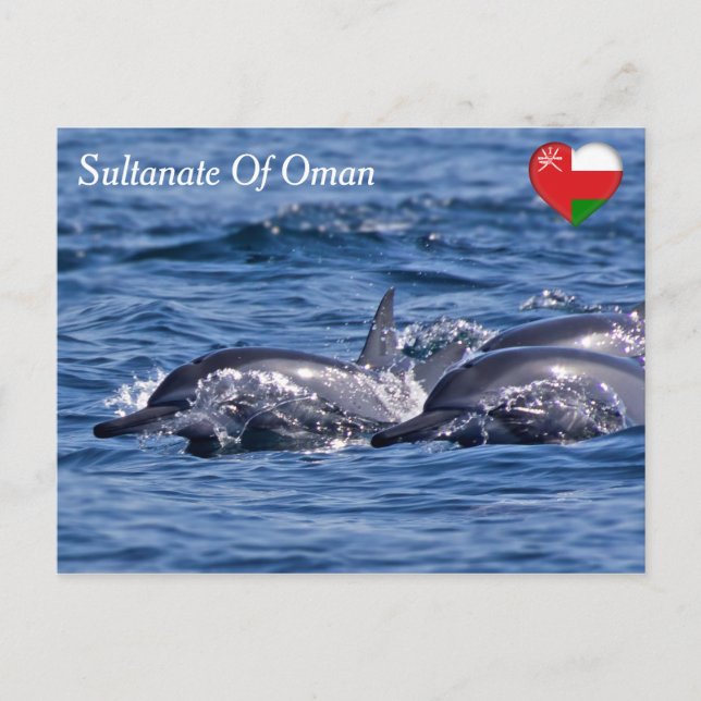 Flock av flasknosdelfiner - Oman Vykort (Framsida)