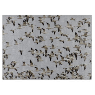 Flock av gäss under flygning