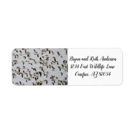 Flock av gäss under flygning returadress etikett