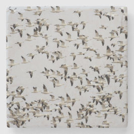 Flock av gäss under flygning stenunderlägg