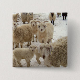 Flock av getter knapp