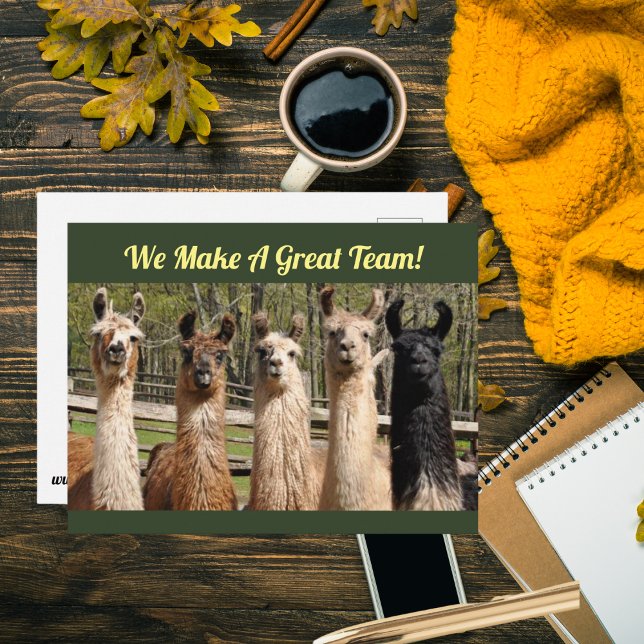Flock av glada lamor tillsammans vykort (Is your work team just the best? Tell them with a postcard~!)
