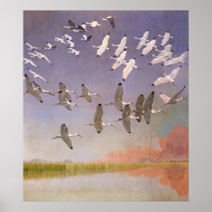 Flock av Ibis som flyger över våtmarker, Poster