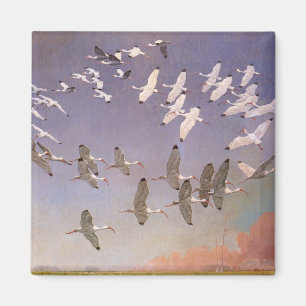 Flock av Ibis som flyger över våtmarker, Vintage f Magnet