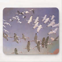 Flock av Ibis som flyger över våtmarker, Vintage f