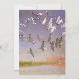Flock av Ibisar som flyger över våtmarker, Vintage
