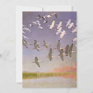 Flock av Ibisar som flyger över våtmarker, Vintage