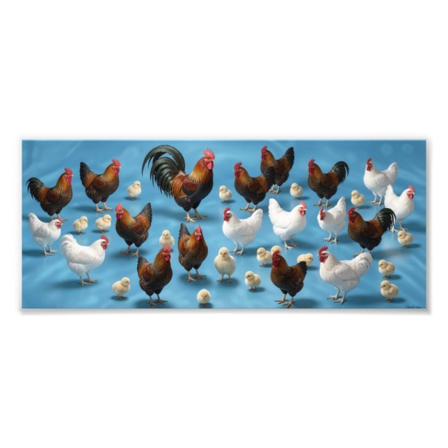 Flock av kycklingar och tuppar fototryck (Framsidan)