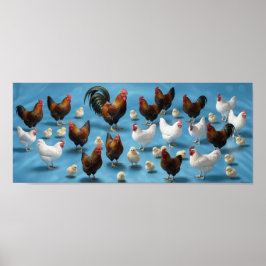 Flock av kycklingar och tuppar poster