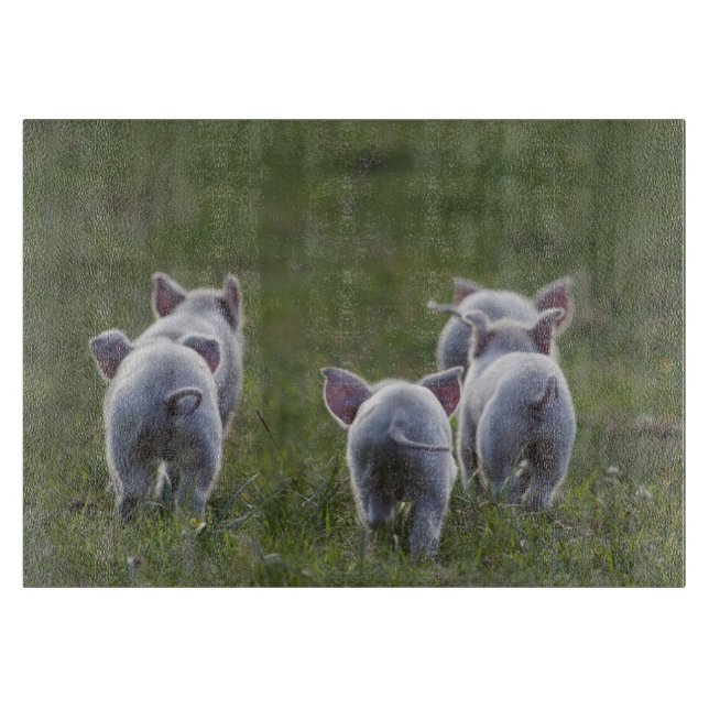 Flock av Pigletsskärbrädan (Framsidan)