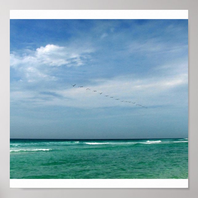 Flock in Flight - Destin, Florida Poster (Framsidan)