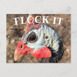 FLOCK IT, Guineas träbox-skylt Vykort