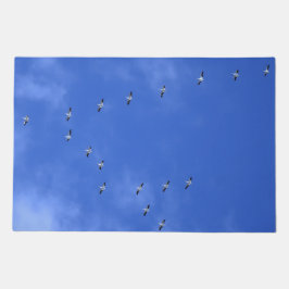 Flock of birds