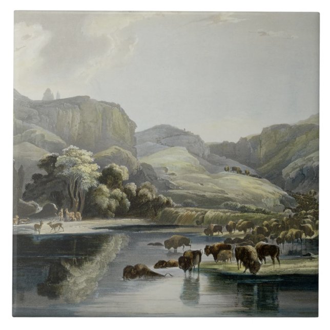 Flockar av bisonen och älgen på upperen Missouri, Kakelplatta (Framsidan)