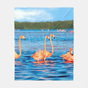 Flockar av vacker rosa flamingos i Celestun Fleecefilt
