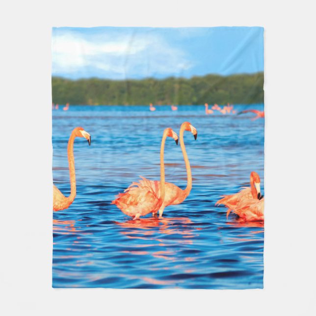 Flockar av vacker rosa flamingos i Celestun Fleecefilt (Framsidan)