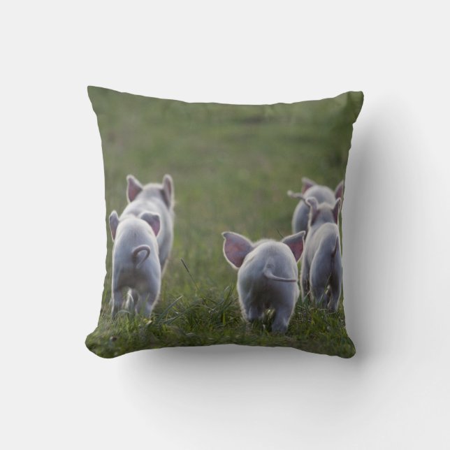 Flocken av gulliga Piglets kudder på Kudde (Framsida)