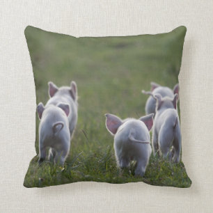 Flocken av gulliga Piglets kudder på Kudde