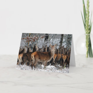 Flocken av hjortvalentinen Card Helgkort
