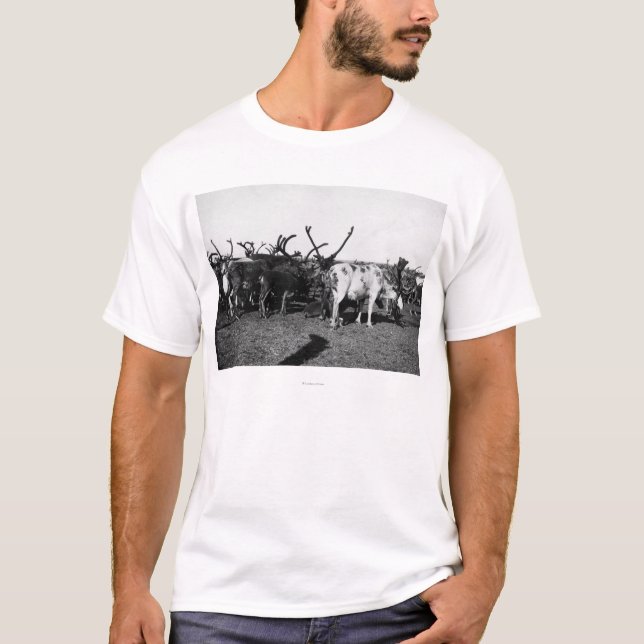 Flocken av renen i Alaska fotograferar T-shirt (Framsida)