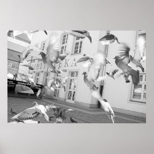 Flocken Poster