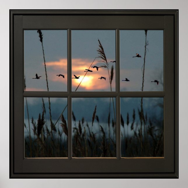 Flocket av fågelfaux Window Illusion 24x24 Black Poster (Framsidan)